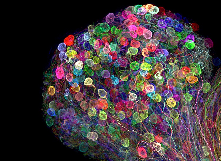 El maravilloso (o no) mundo de las cosas que no podemos ver…