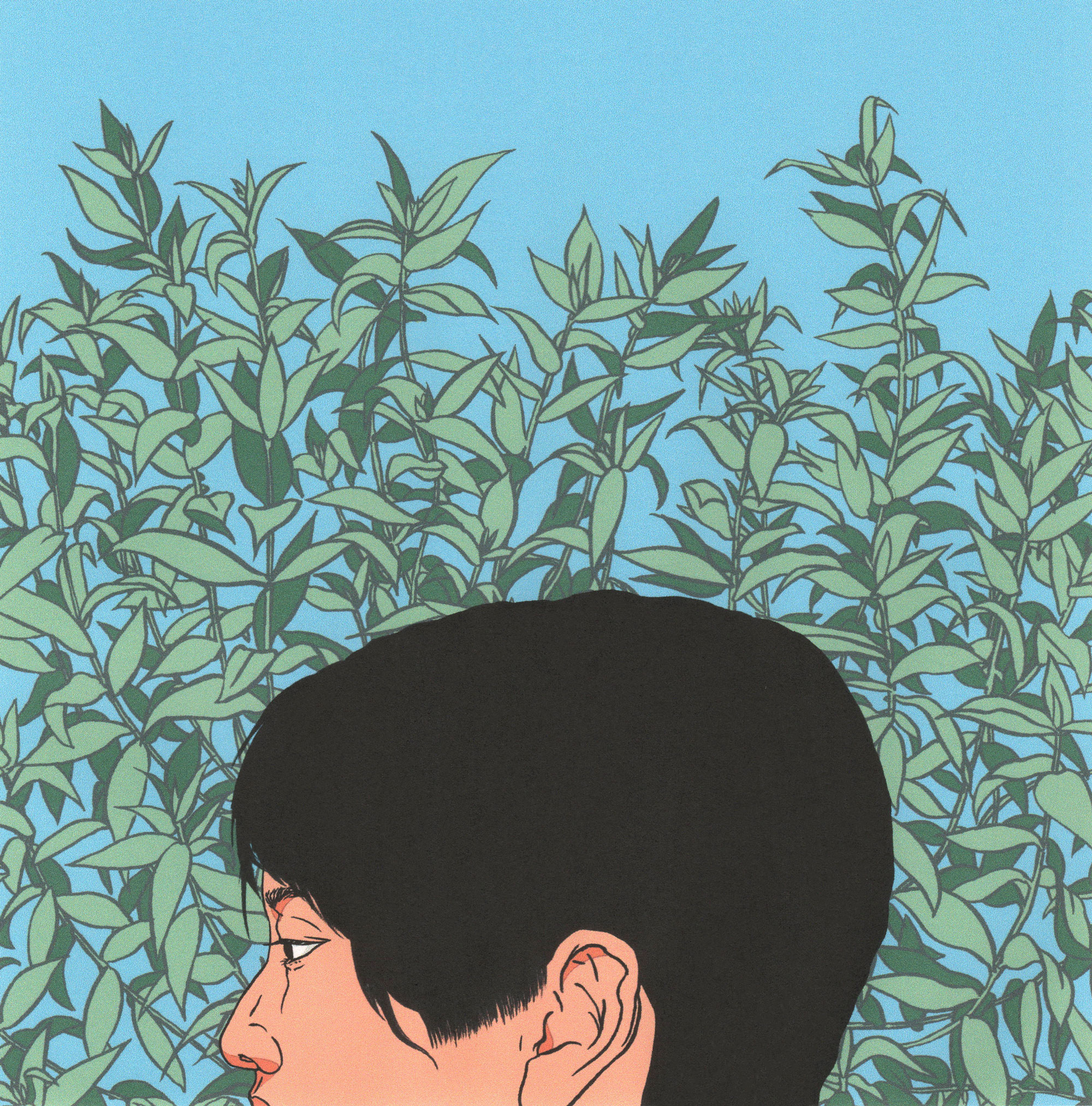 Esta podría ser tu ración de ilustraciones diaria…