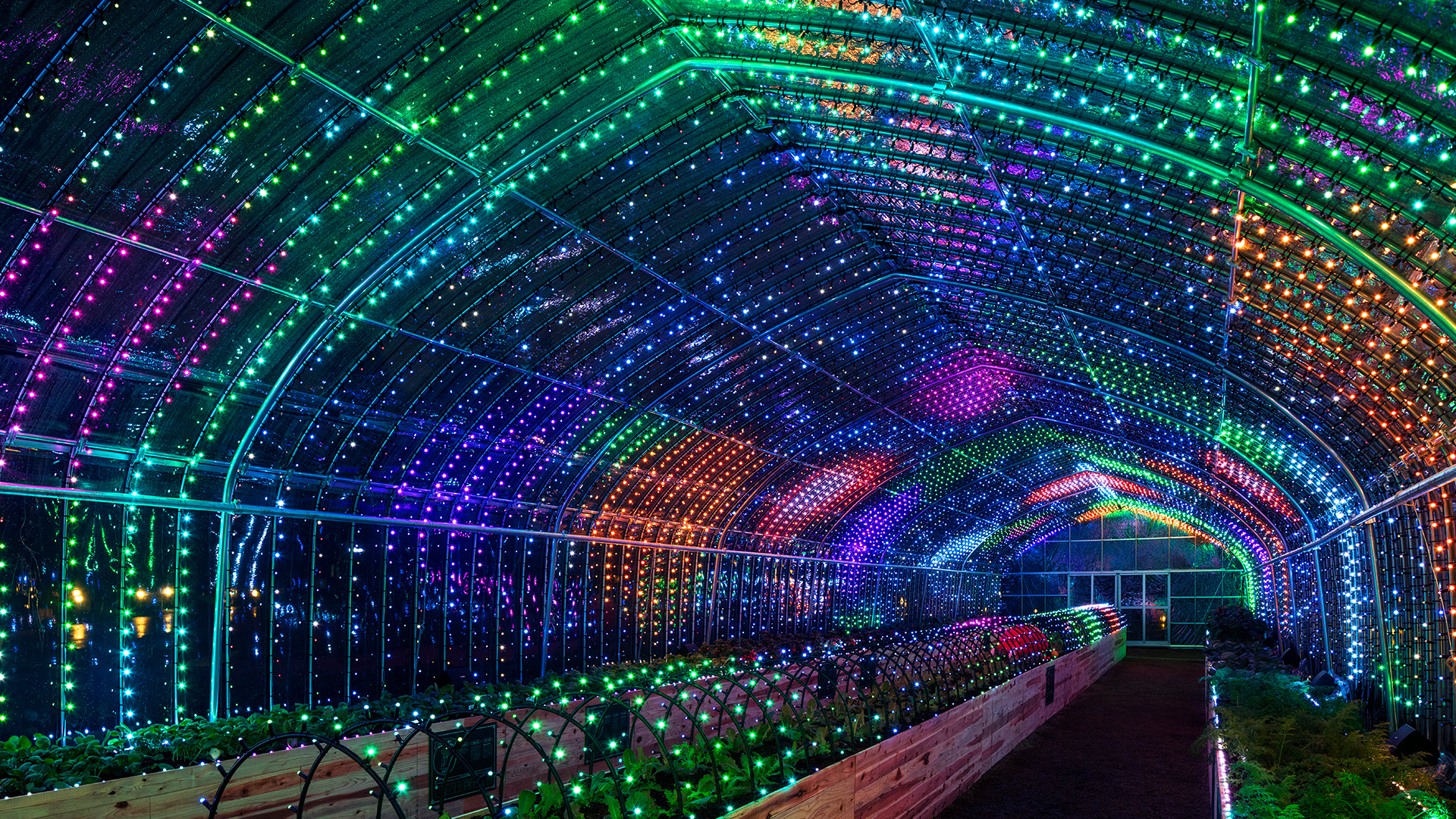 ¿Quién dijo que los invernaderos eran aburridos?