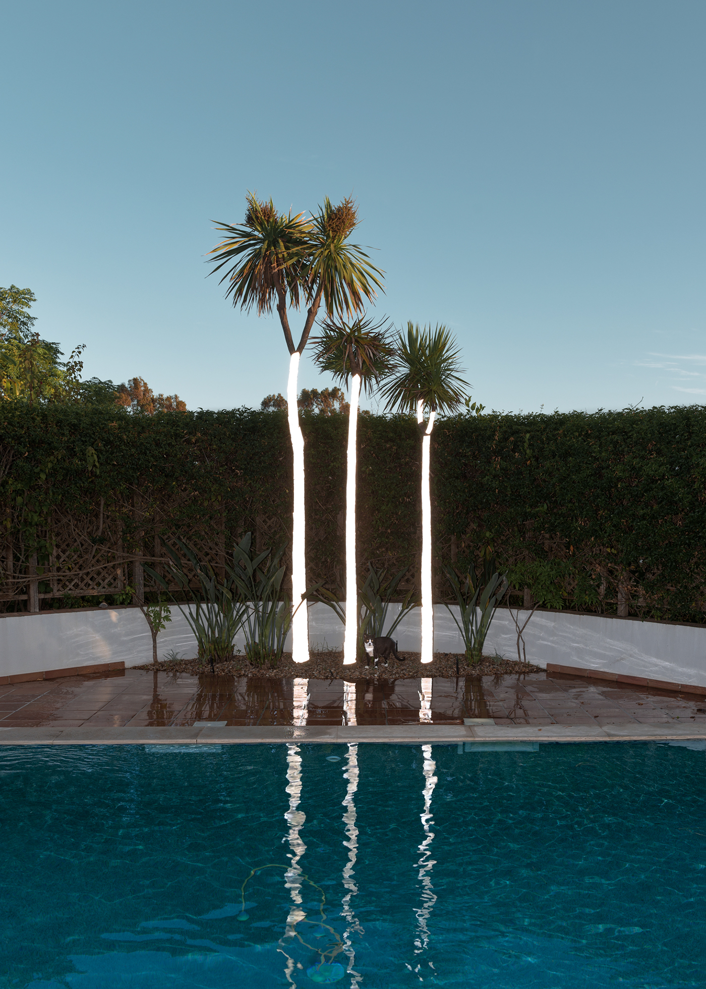 Revisitando la memoria a través de la fotografía…