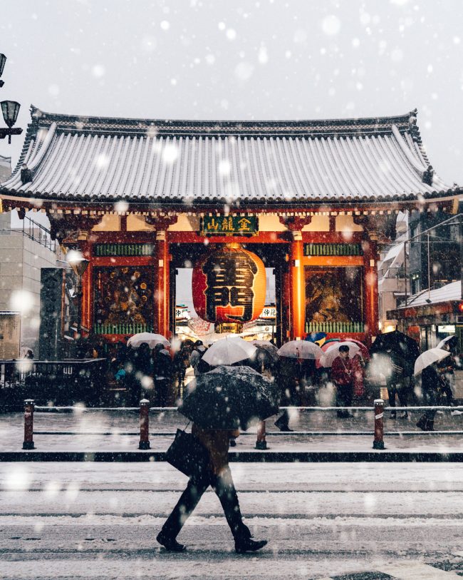 Ojo a esta combinación ganadora: Tokyo + fotografía + nieve (por un tubo)