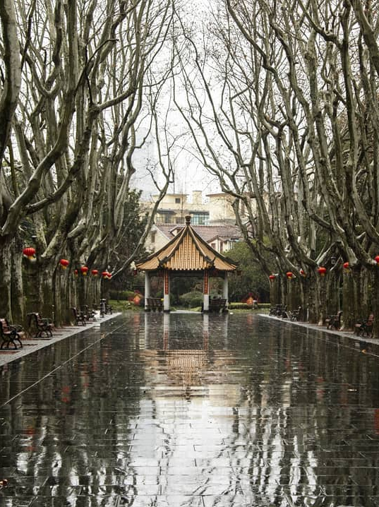 One Person City, Shanghai.