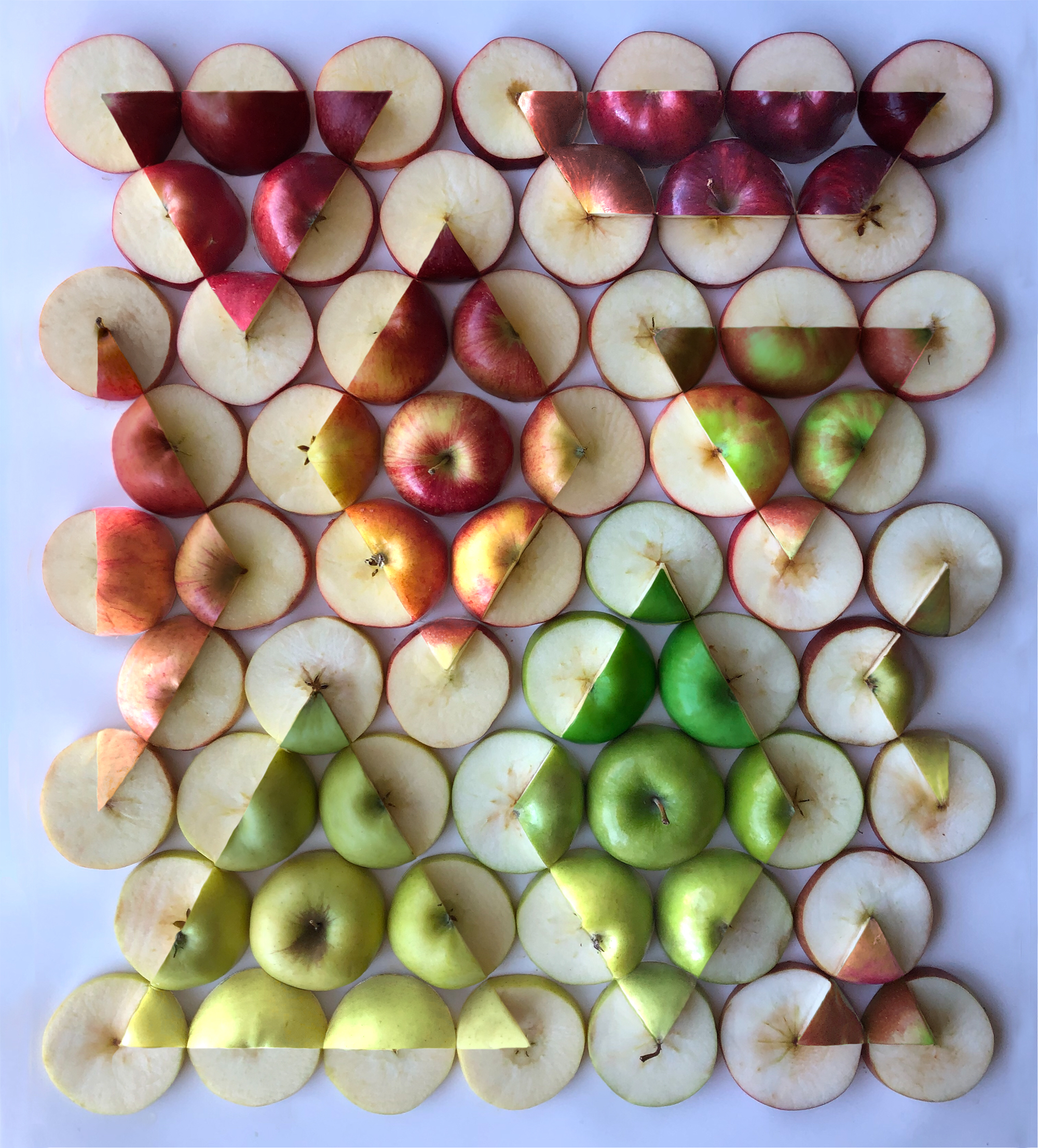 Sobre los patrones y los colores de Adam Hillman