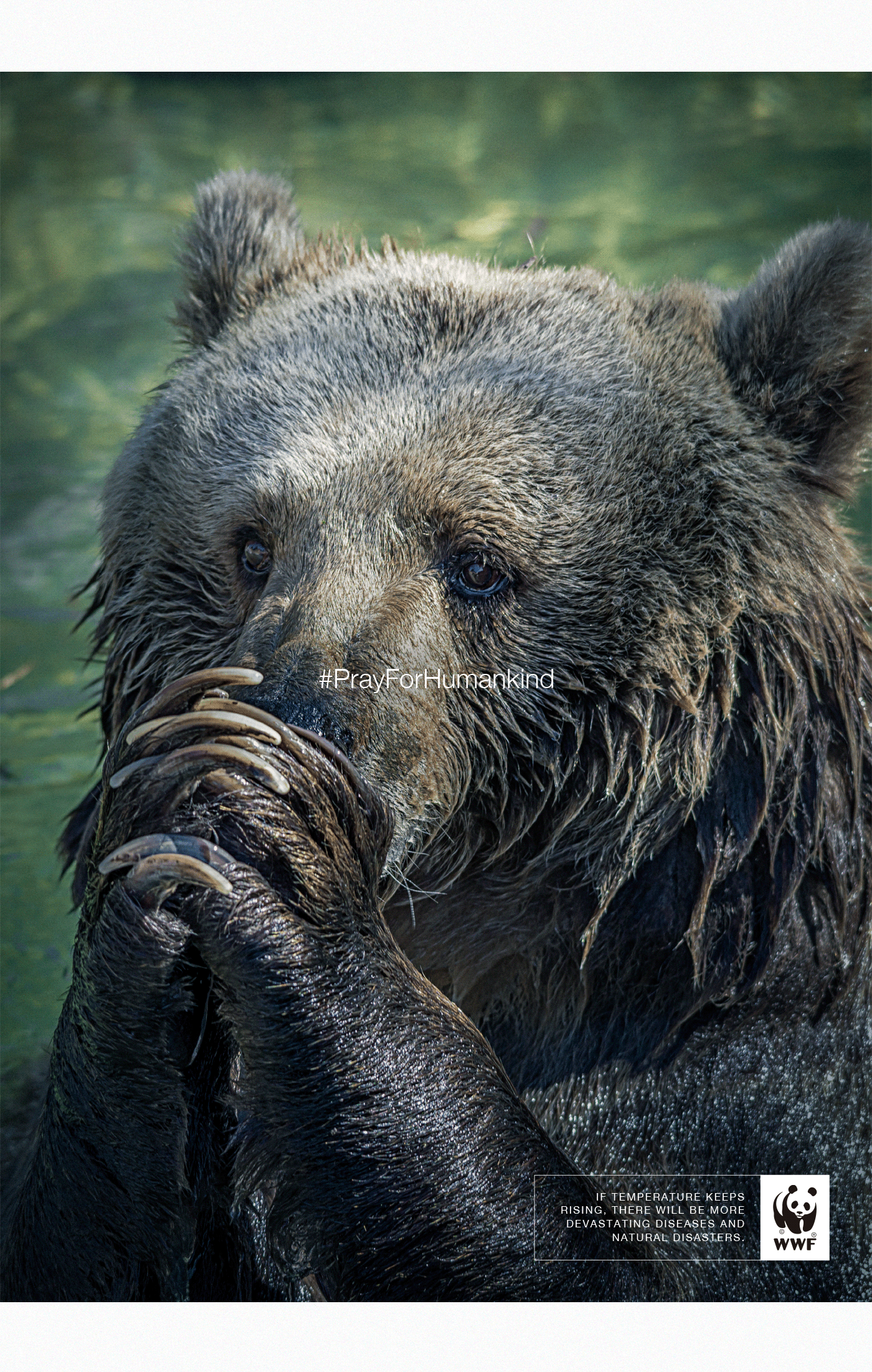 #PrayForHumankind: ¿qué define nuestra humanidad?