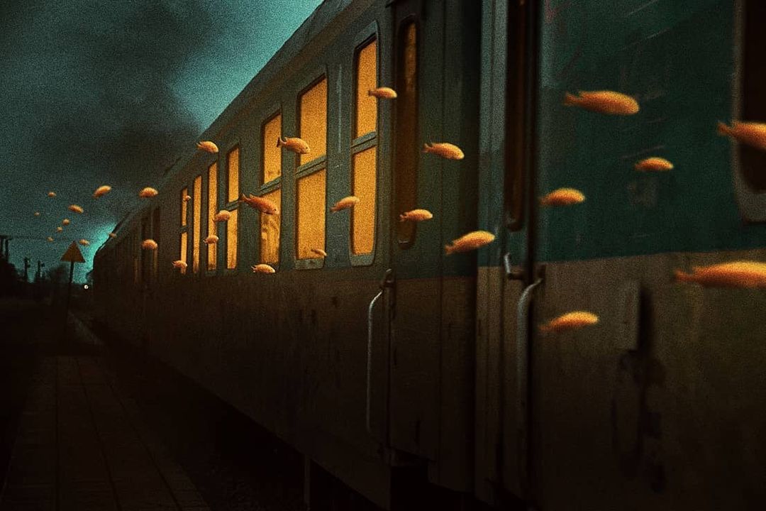 Las diarias (y a veces reconocibles) aventuras de una alma extraña…