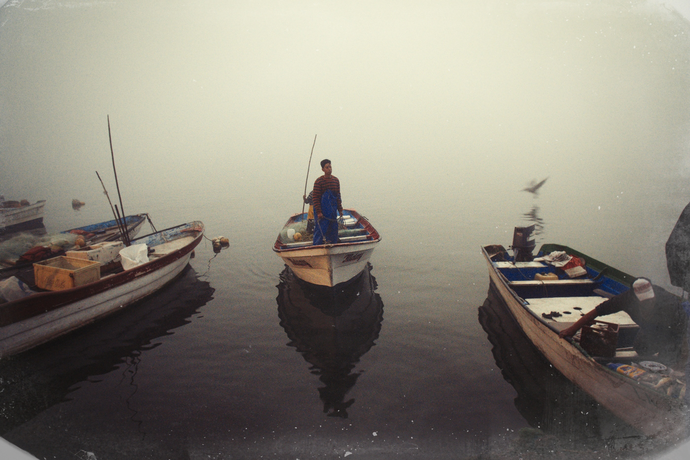 Ven al Mercado del Pescado de Mazatlán