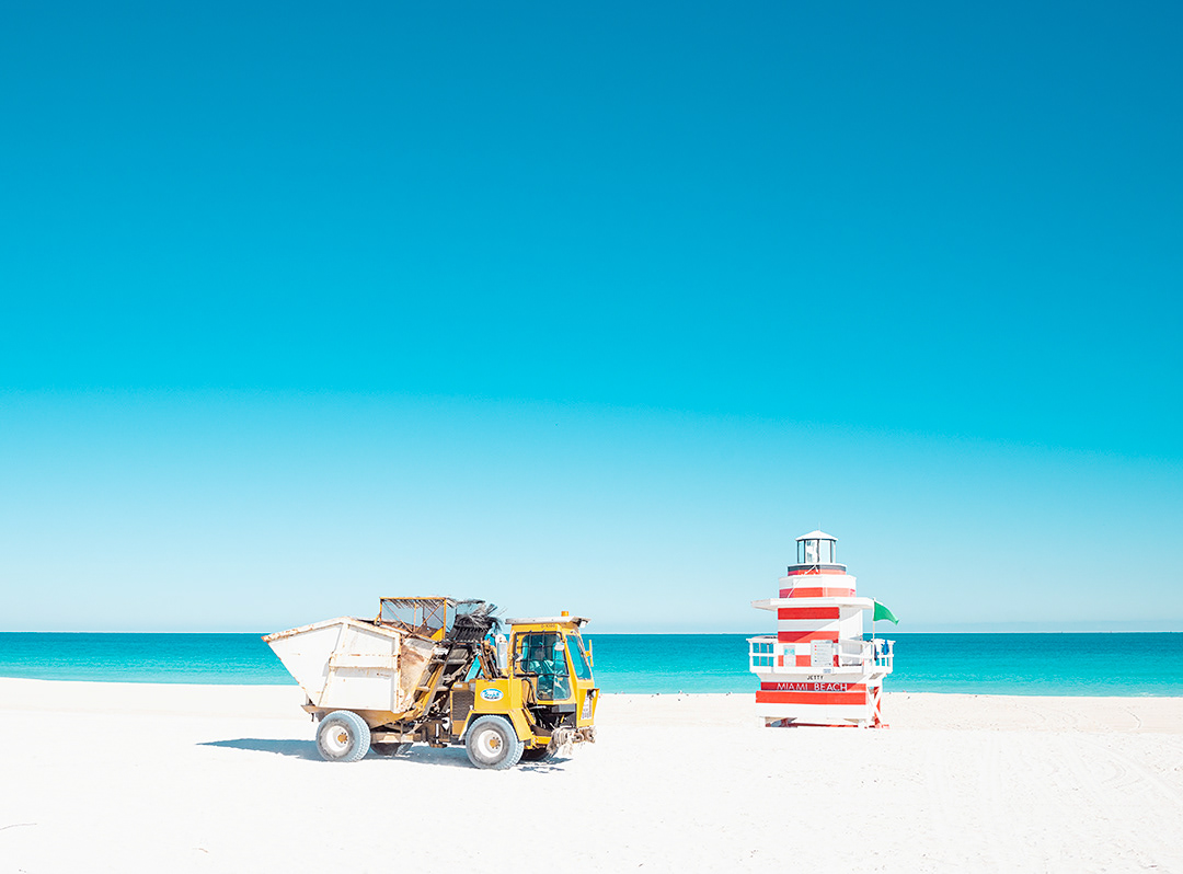 El mundo que habita la Playa del Sur