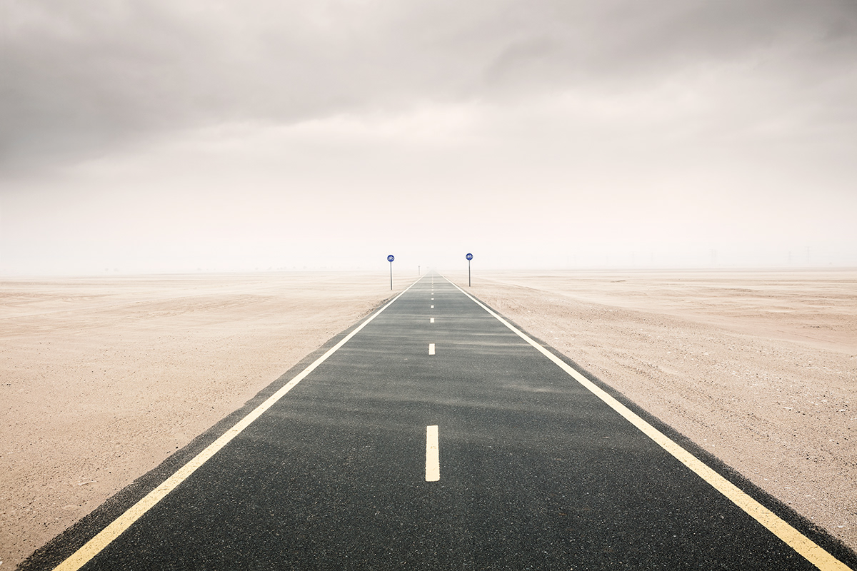 Descubriendo el Elemento Humano…