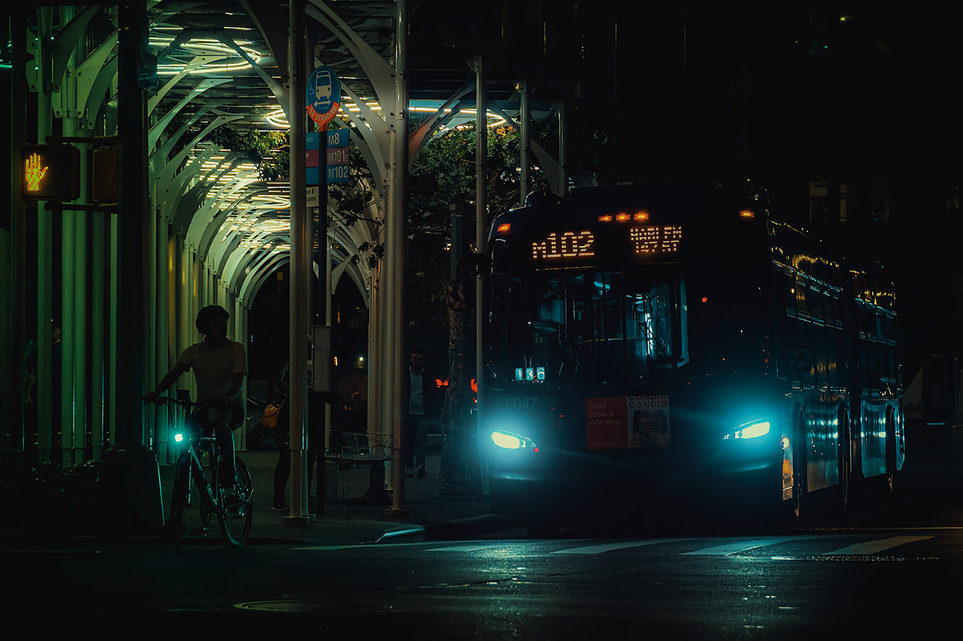 Las noches de New York, New York