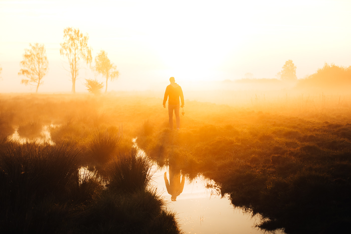 En algún lugar está saliendo el sol