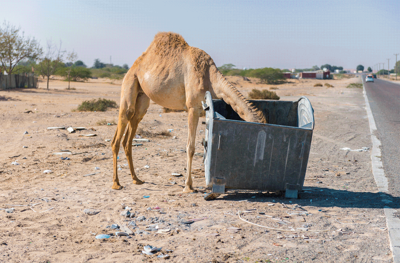 De las reacciones a la acción