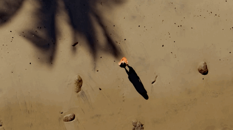 Las coordenadas de tu vida (o de tu tarjeta)