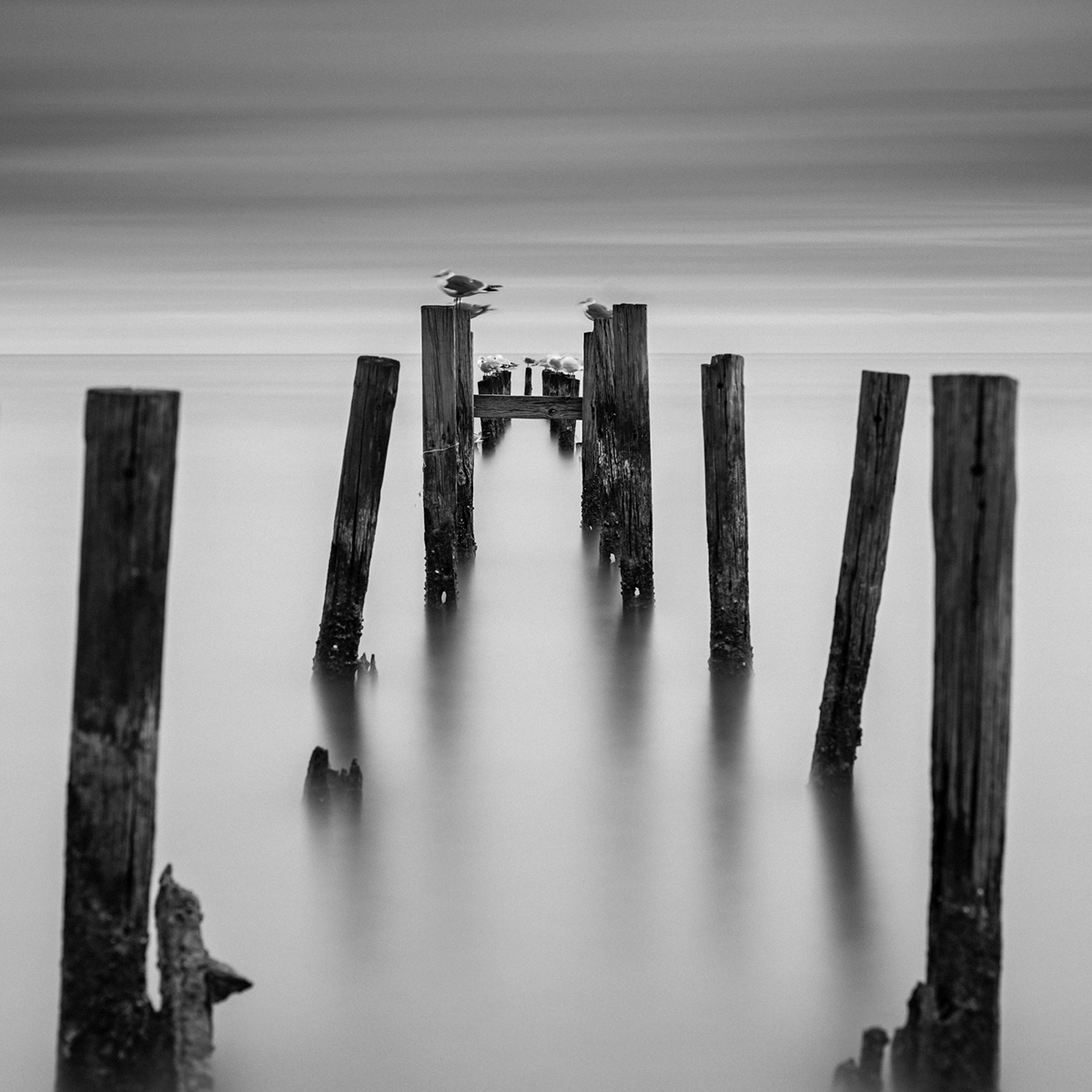 Lejos de aquí, en ninguna parte…