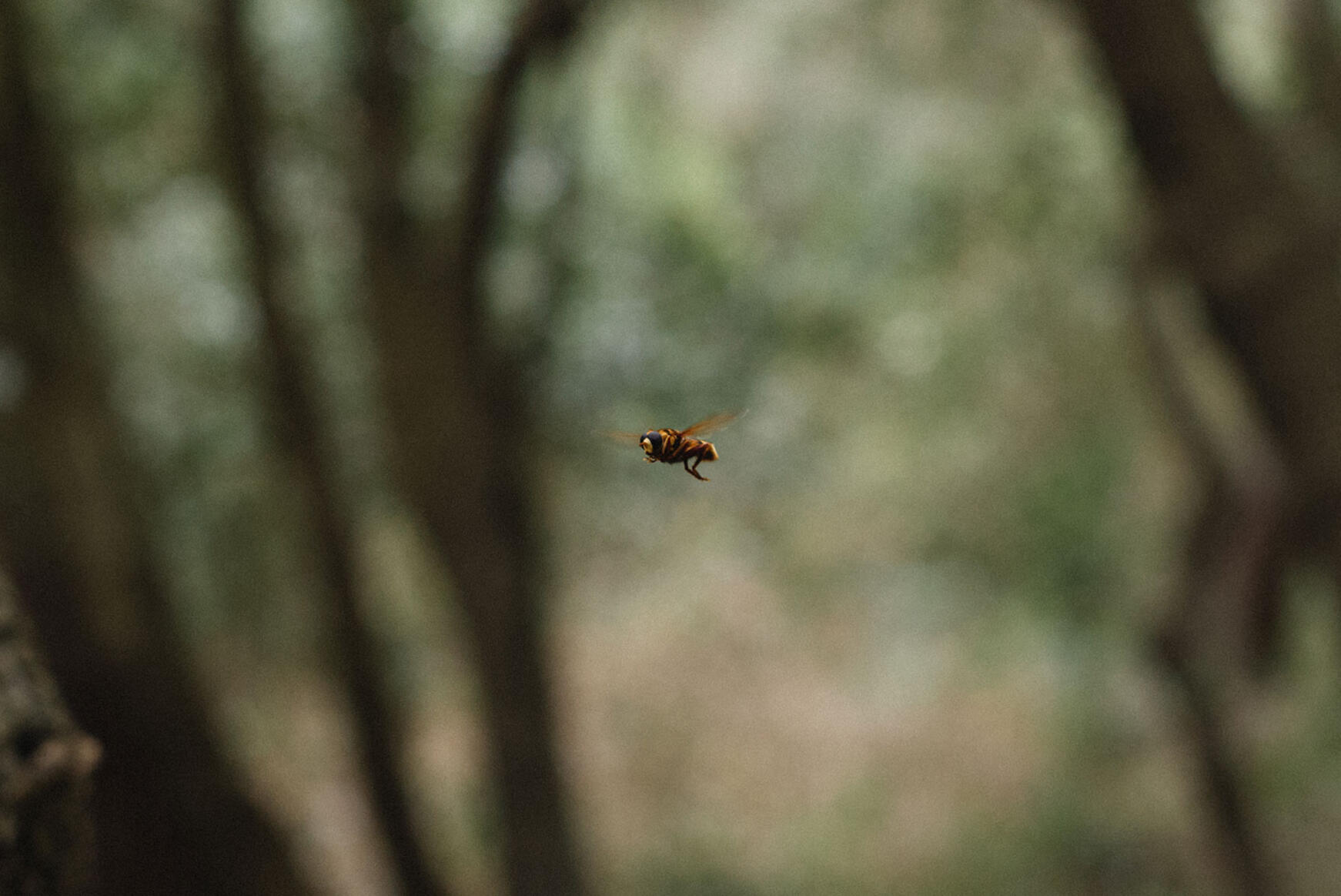 De Cien a Cero con Leica…