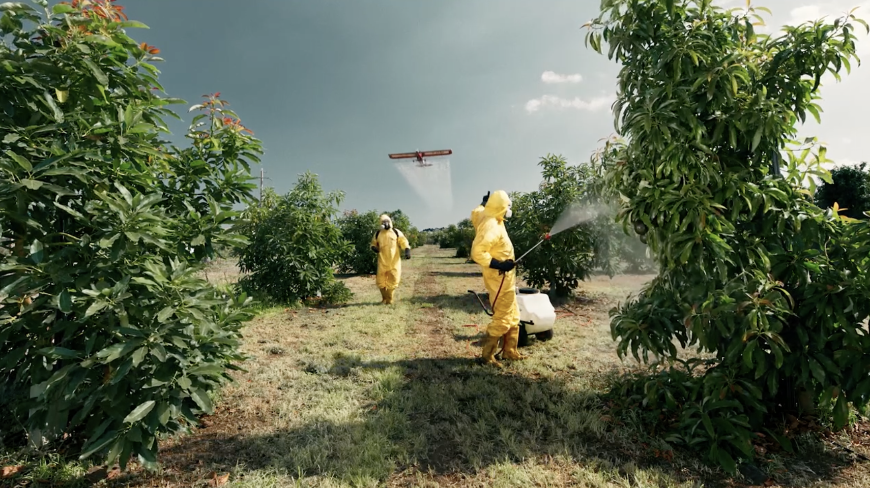 Una nueva especie en riesgo de extinción