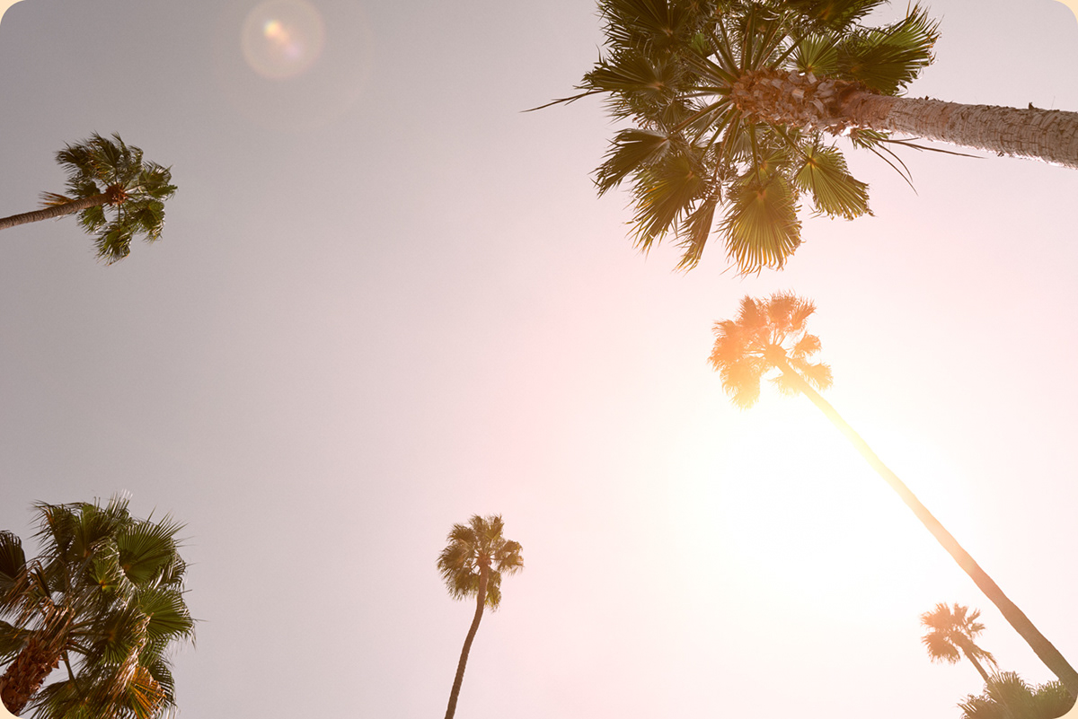 Los eternos soñadores de California