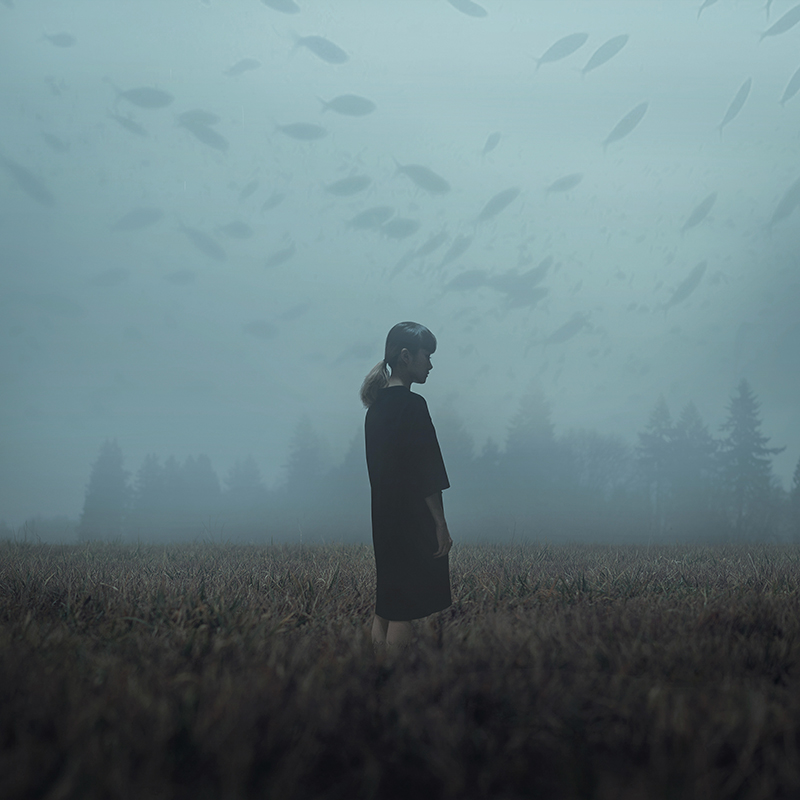 Donde los sueños se convierten en paisajes: la nostalgia digital de MVM…