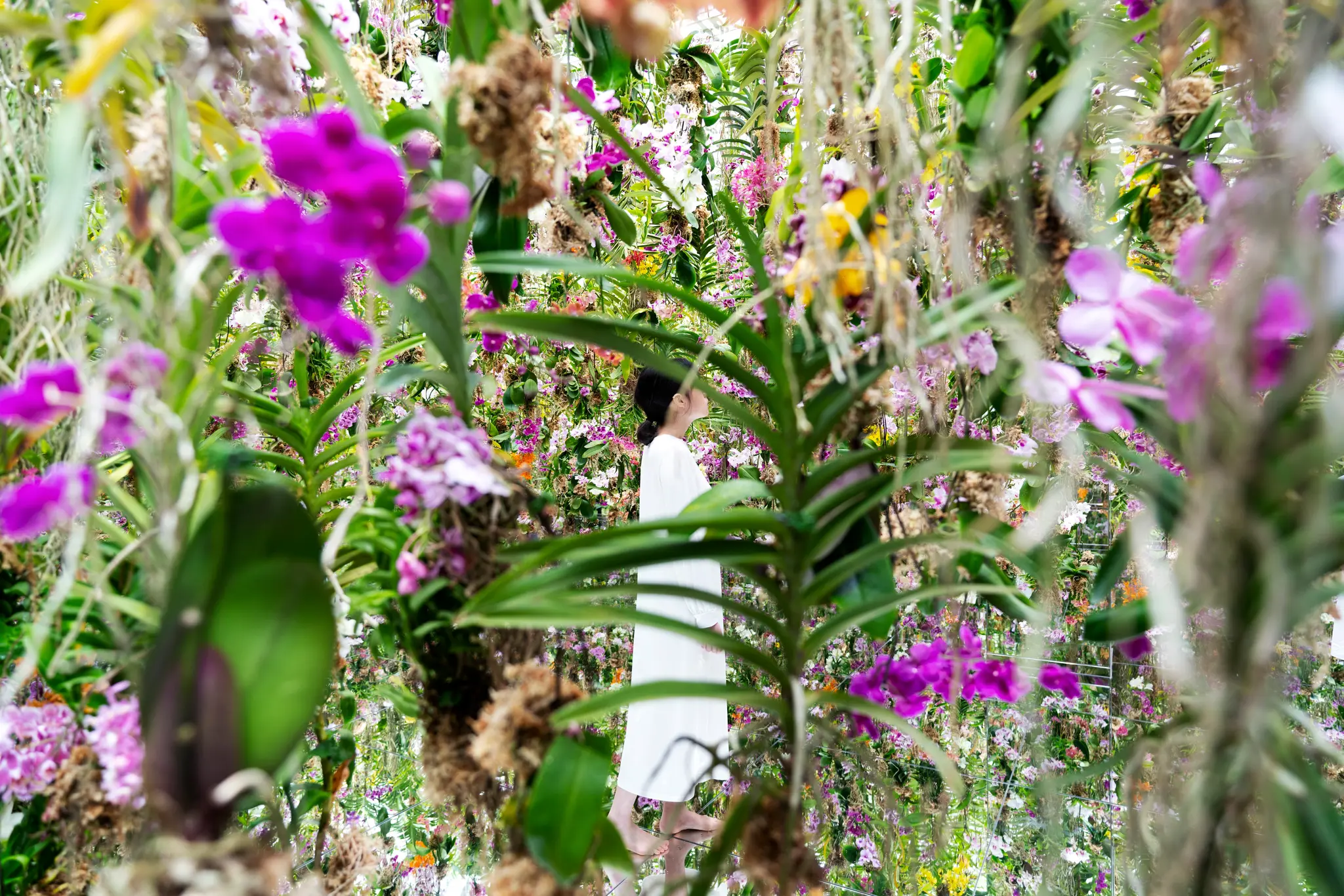 Sumérgete en la luz con las experiencias sensoriales de TeamLab…