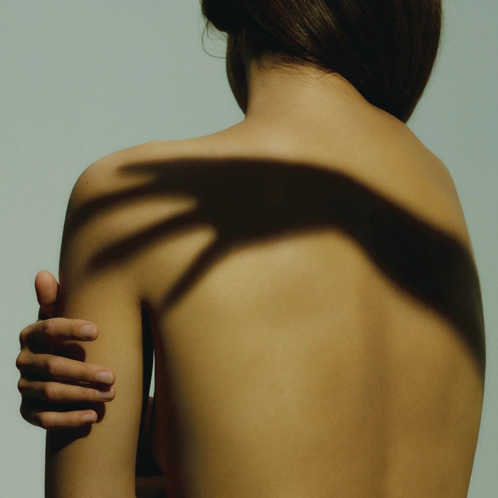 Entre luces y sombras: Milan Zrnic y el arte de capturar la serenidad…