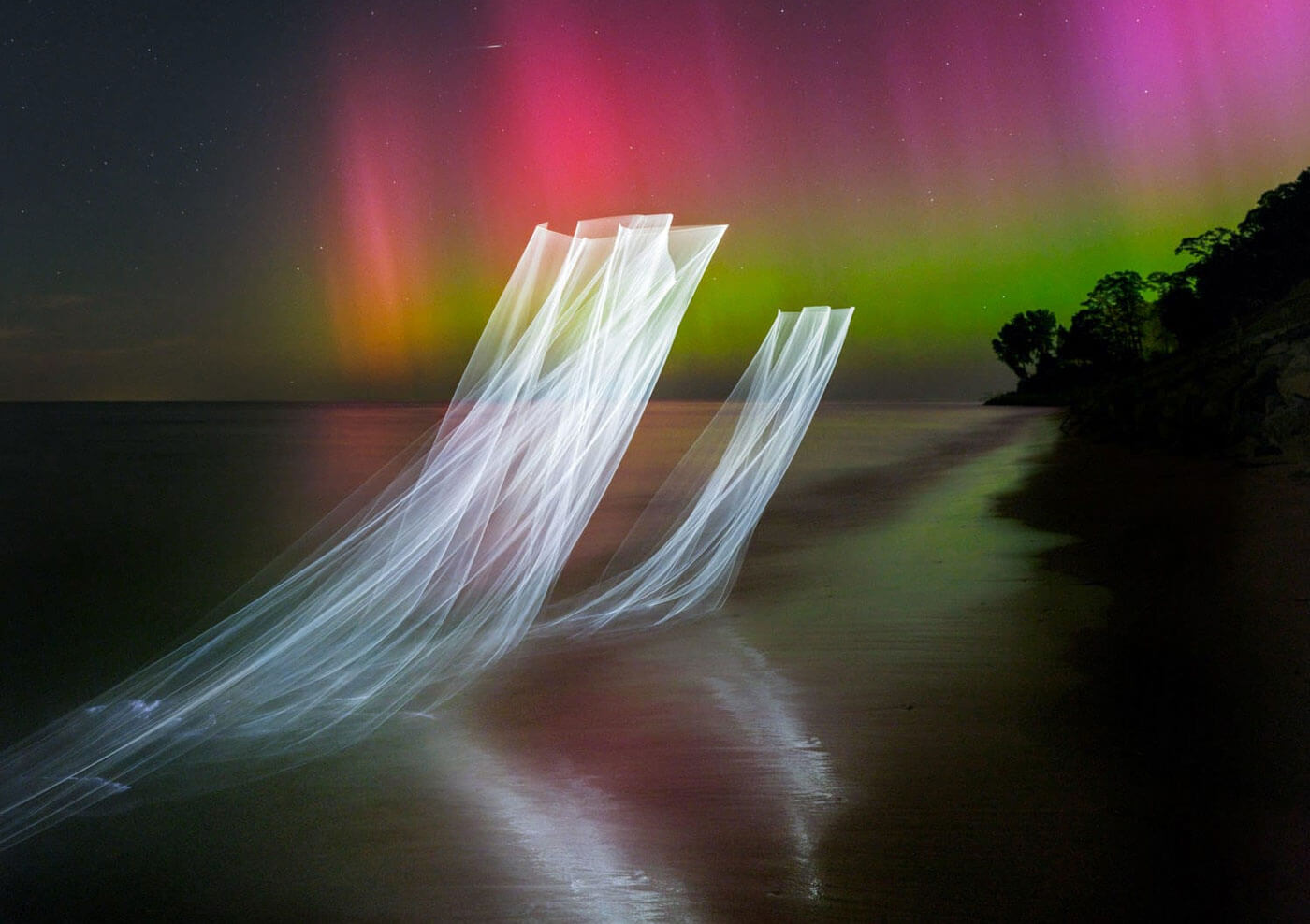 Reuben Wu y su Sirena, un viaje entre la realidad y el sueño…