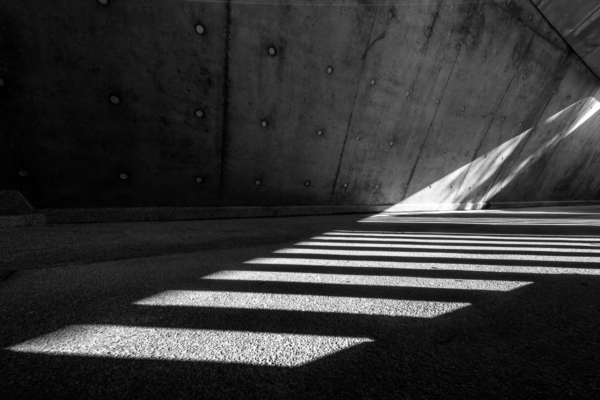 La arquitectura como sinfonía visual en la obra de Leo Hon Li…