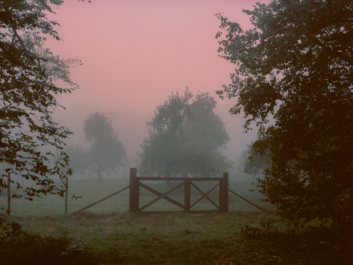Moreno Sudaro y la reconocible soledad suspendida del amanecer…