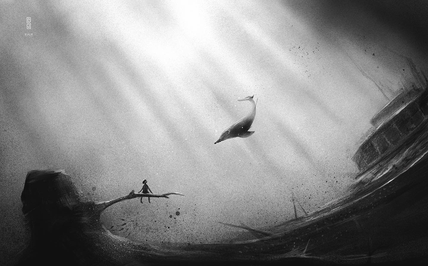 Sulir: La belleza de la simplicidad en blanco y negro…