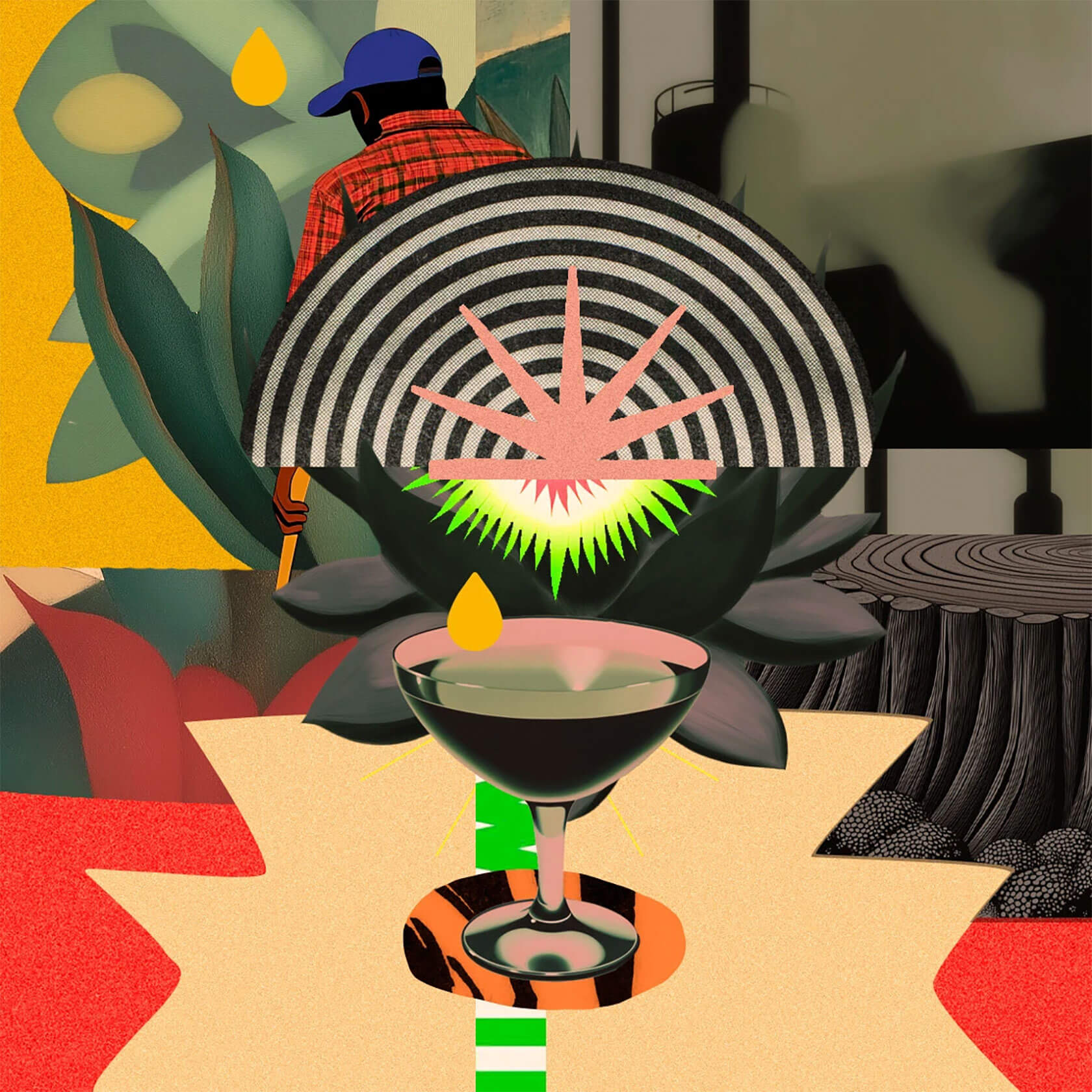 La fabulosa geometría del caos o cómo reordenar el mundo recorte a recorte…